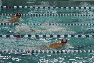 开云体育链接-“世界游泳锦标赛：2025新加坡赛场泳池掀起速度与优雅的碰撞”